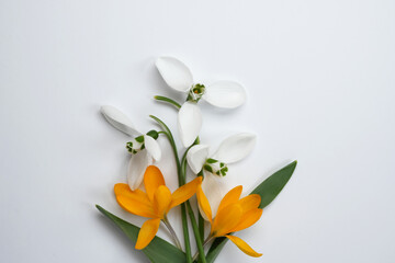 Flower layout from spring flowers crocus and snowdrops on a white background. Top view, flat lay and copy space.