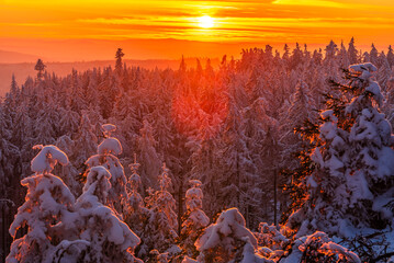A strong orange sunset in CHKO Brdy near summit Praha in winter.