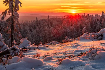Poster A strong orange sunset in CHKO Brdy near summit Praha in winter. © Ondrej Bucek