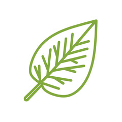 Icon of leaf. Transparent leaf on white background. Logo of leaf.