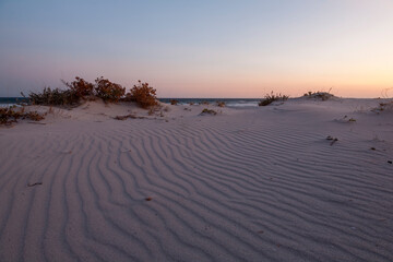 peaceful image of immaculate sand pattern at sunrise