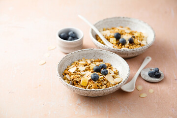 Homemade granola with coconut chips and berries