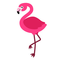 Fuchsia flamingo