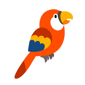 Flat red parrot