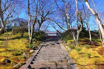 Jojakkoji Temple, a Buddhist temple in a serene forest at Sagaogurayama Oguracho, Ukyo Ward, Kyoto, Japan