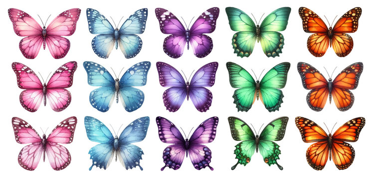 Watercolor illustration material set of butterflies