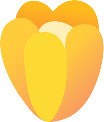 Yellow Flower
