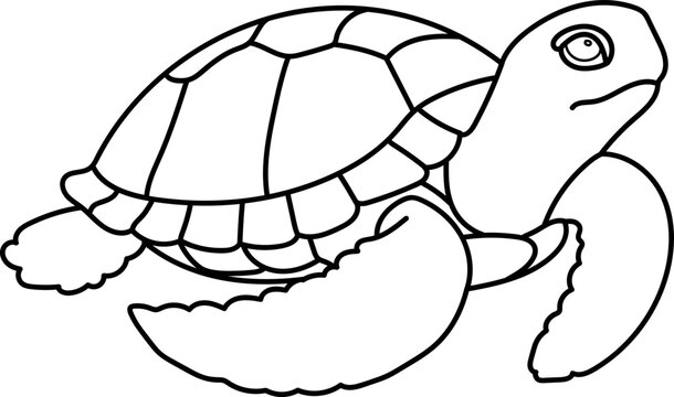 Sea Turtle Cute Doodle