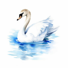 Beautiful bird white Swan gracefully floating on the lake water watercolor illustration.