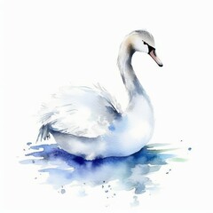 Obraz premium Beautiful bird white Swan gracefully floating on the lake water watercolor illustration.