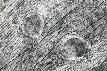 Wood knot background. Grunge wooden texture. Dry plank cracked pattern. Tree cross section. Closeup...