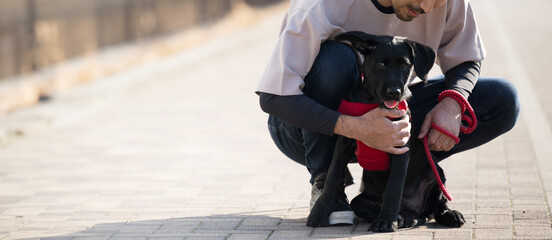 Image of dog trainer or trainer Faceless banner