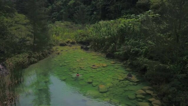 river green in the nature drone shoot