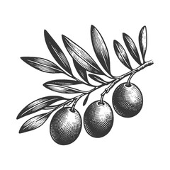 olive branch with ripe olives plant food sketch engraving generative ai raster illustration. Scratch board imitation. Black and white image. - obrazy, fototapety, plakaty
