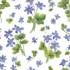 Seamless pattern with flowers of the blue Anemone hepatica (Hepatica nobilis, liverleaf, liverwort, kidneywort, pennywort). Watercolor hand drawn illustration isolated on white background - 750506077