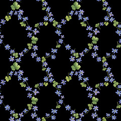 Seamless pattern with flowers of the blue Anemone hepatica (Hepatica nobilis, liverleaf, liverwort, kidneywort, pennywort). Watercolor hand drawn illustration isolated on black background. - 750506855