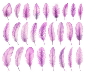 Purple bird feather watercolor illustration material set