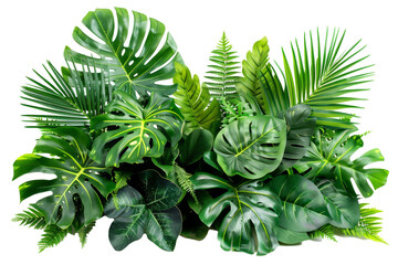 The leaves of tropical plants (Monstera, palm, rubber plant, pine, bird's nest fern) are in a floral arrangement arranged indoors in nature on a white background, isolated from the rest of the - obrazy, fototapety, plakaty