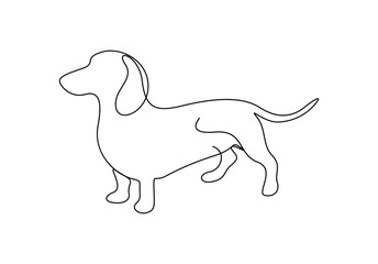 Dachshund dog in one continuous line drawing vector illustration. Premium vector