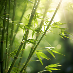 Fototapeta premium Enchanting Bamboo Forest Imbued with Ethereal Light and Tranquility: Nature's Lush Green Cathedral