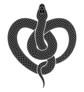 Vector tattoo design of snake curled up in a knot in the form of a heart symbol. Isolated black serpent silhouette.