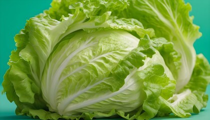 Isolated green and fresh lettuce.