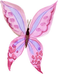 Pink watercolor hand painted butterfly. PNG transparent design element.