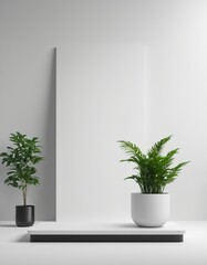 plant in a interior