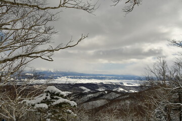 Snowy forest hill in hokkaido Japan clouded sky nature beauty