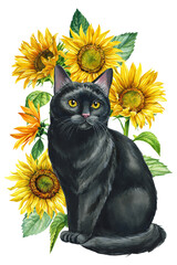 animal with autumn flower, black cat and Sunflower isolated. Watercolor hand drawing poster, design, greeting cards.