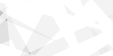 Abstract background with white and gray and geometric style with simple lines and corners, polygons as background geometric style with simple lines and corners, polygons as background paper texture	