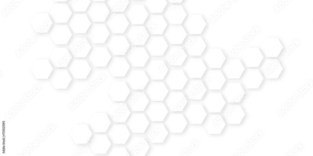 Poster abstract white hexagonal background.honeycomb white background ,light and shadow ,hexagonal honeycom