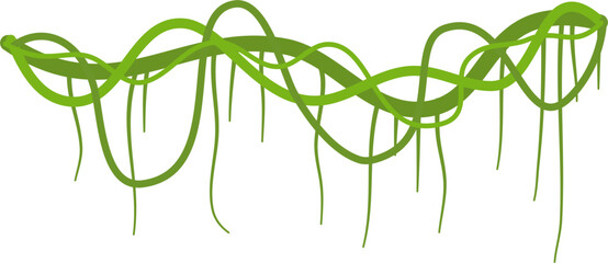Lianas branch with vines © Naziadesign