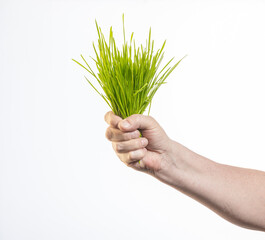 grass in hand