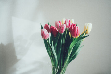 チューリップの花束