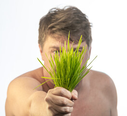 person holding a plant