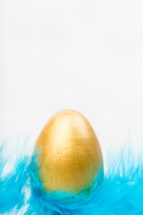 Golden Easter egg in blue feather with empty space