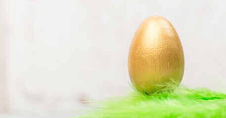 Easter golden egg in green feather with empty space
