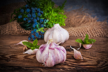 A head of garlic in a rustic arrangement - 750526822