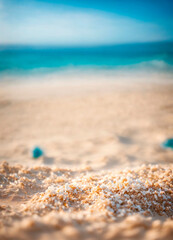 Fototapeta na wymiar shiny sand on the seashore close-up. Selective focus.