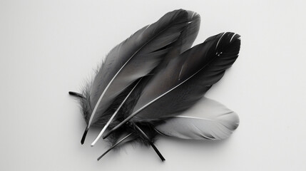 A black and white photo of a bunch of feathers on a