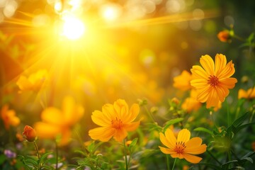 spring summer background with bright beautiful flowers