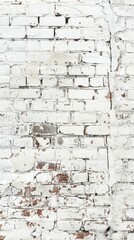 Weathered and worn, this white brickwork offers a glimpse into the material's resilience against time and elements.