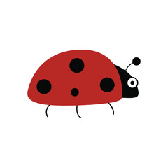 Ladybugs vector, flat ladybugs vector on white