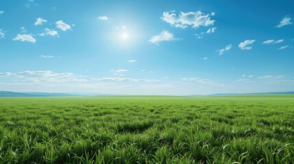 A cloudless blue sky over a green field. Generative AI.