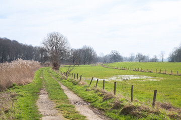 Fototapeta na wymiar Farmers' sandy path along the Oude IJssel near Laag-Keppel in the Achterhoek.