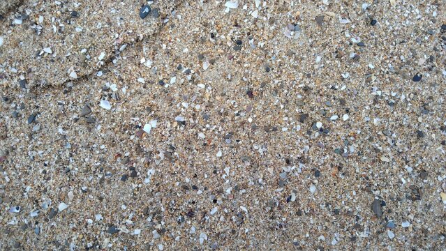 Piedras en la playa