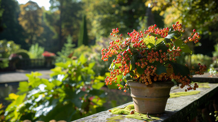 Fototapeta na wymiar A potted plant with berries on it sitting