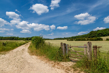 Fototapeta premium A pathway alongside fields near Stanmer in Sussex, with a blue sky overhead