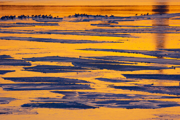 A beautiful, colorful scenery of winter river ice in Latvia. Ice conditions in Northern Europe.